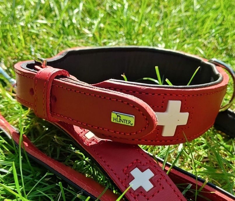 Obroża Hunter Swiss