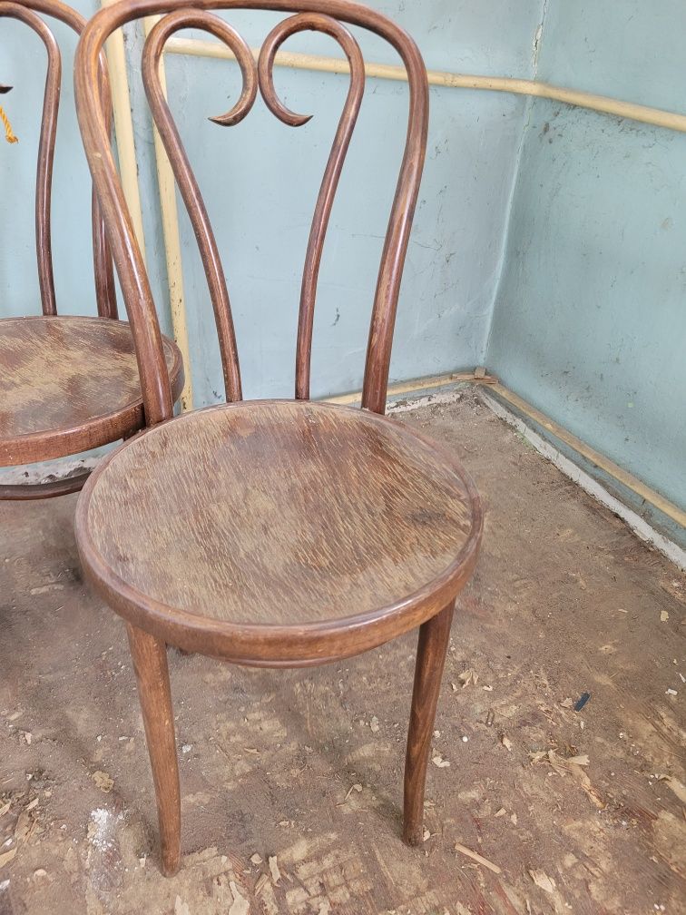 Krzesła Radomsko – krzesła z drewna giętego
