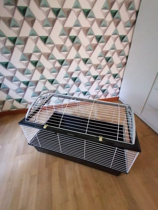 Klatka dla świnki morskiej i akcesoria