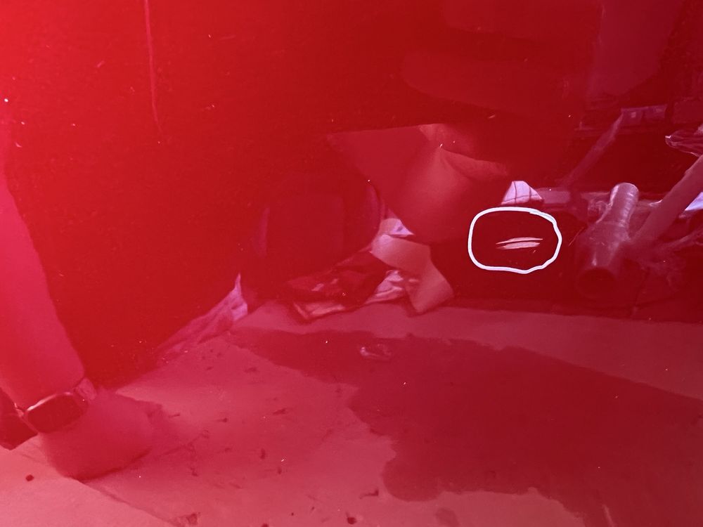 Дверь в сборе задняя правая Tesla Model 3 21- PPMR