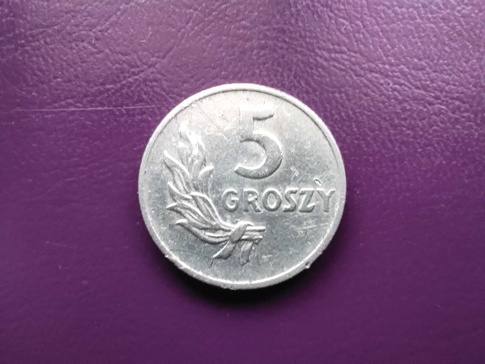 Moneta z PRL-u 5 groszy 1949 - Rzadka i ładna !