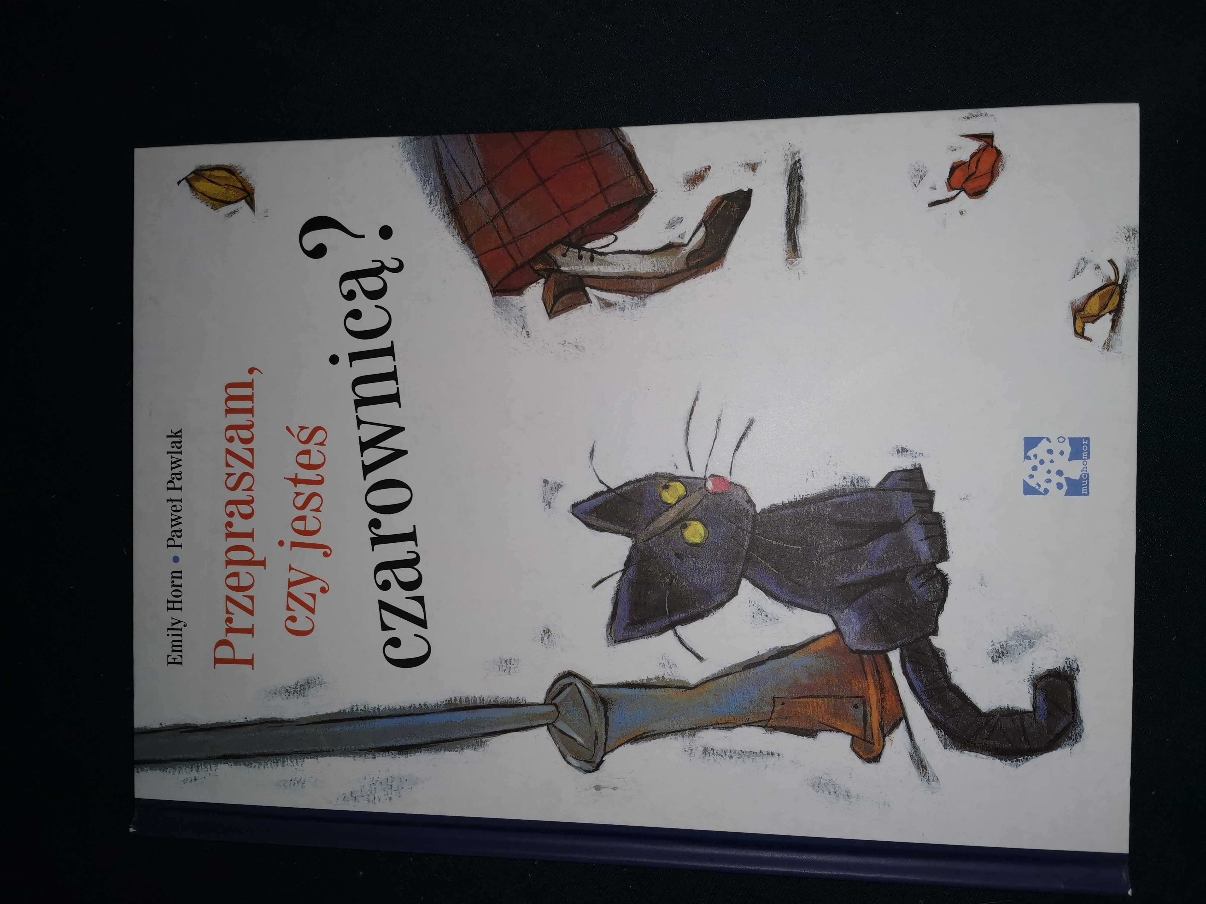 Przepraszam czy jesteś czarownicą?