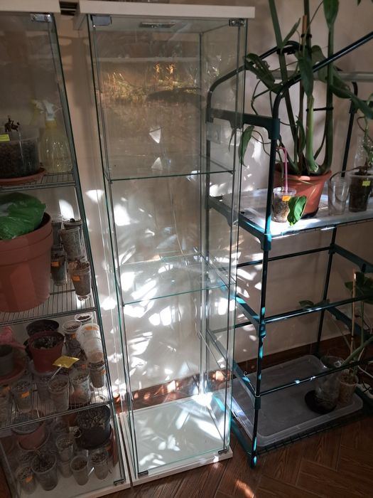 Witryna ,szklana ,ikea ,z oświetleniem