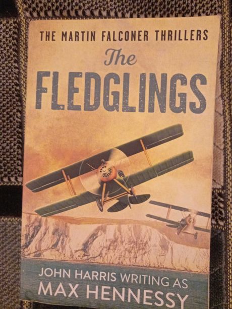книга на английском The Fledglings