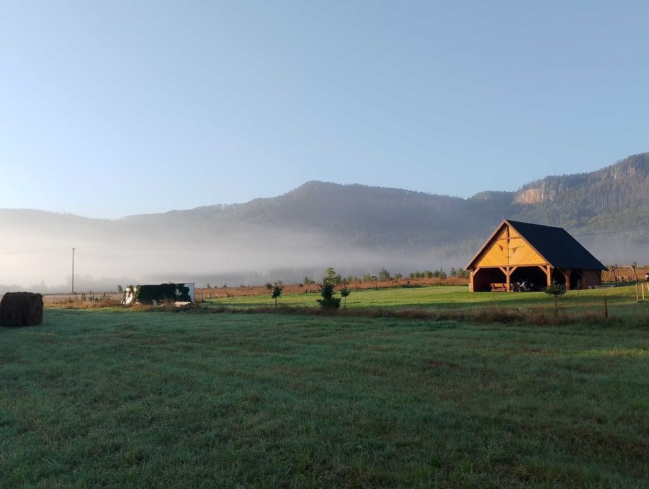 Chata Otulina dom w górach z wiatą biesiadną, balią, sauną, Radków