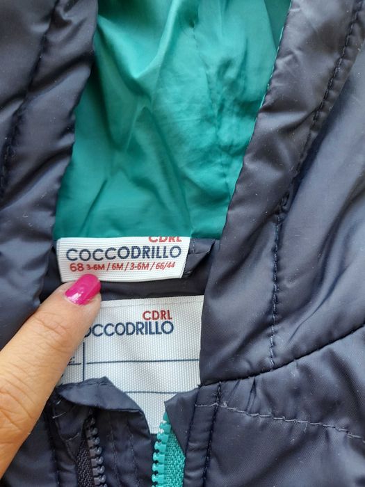 Kurtka Coccodrillo 68