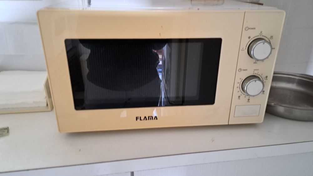 Microondas Flama