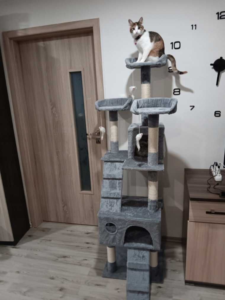 drapak dla kota domek drapak dla kota wysoki 170 cm legowisko zabawki