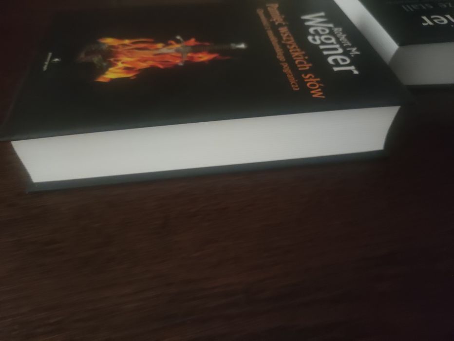 Pamięć wszystkich słów Robert Wegner