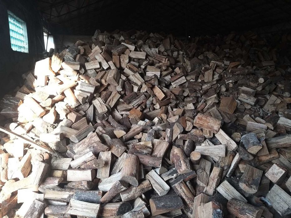 5.0.1.0.2.6.1.4.9 Drewno, drzewo kominkowe, opałowe