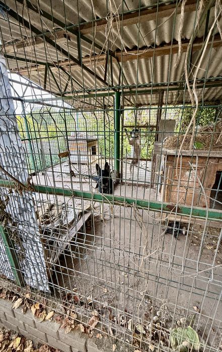 Будинок 138м2,  м. Обухів