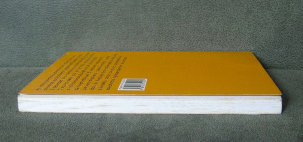 Uma Mulher Não Chora de Rita Ferro