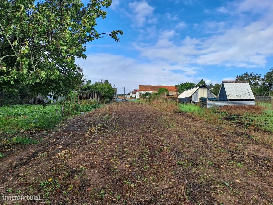 Terreno com Viabilidade para construção em Vagos
