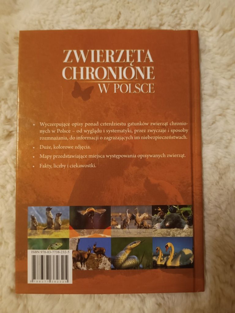 Książka Zwierzęta chronione w Polsce - wydawnictwo Ibis