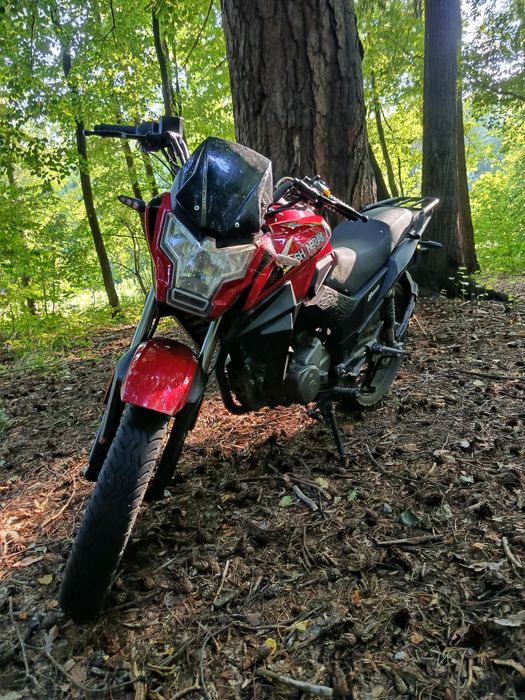 Шенерай 200 находу