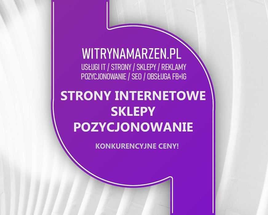 Strony internetowe - Pozycjonowanie - Sklepy WWW - Obsługa Allegro