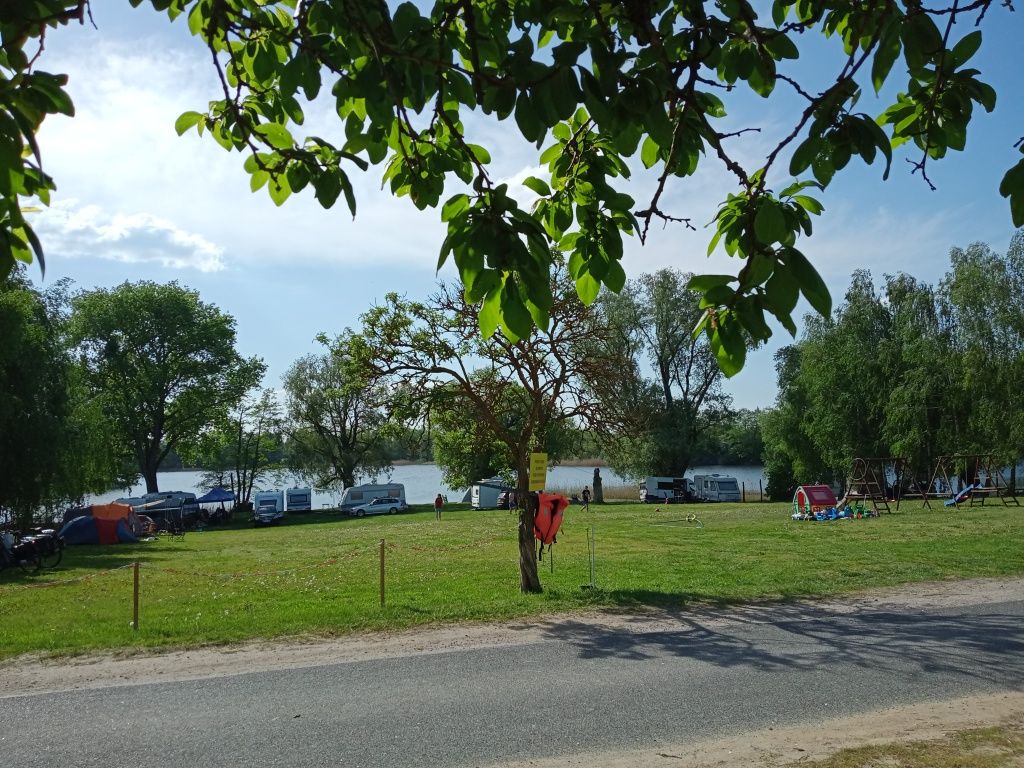 Pole namiotowe, kemping, camping Jezioro Lednickie Poznań, Gniezno.