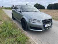Audi a3 8p lift