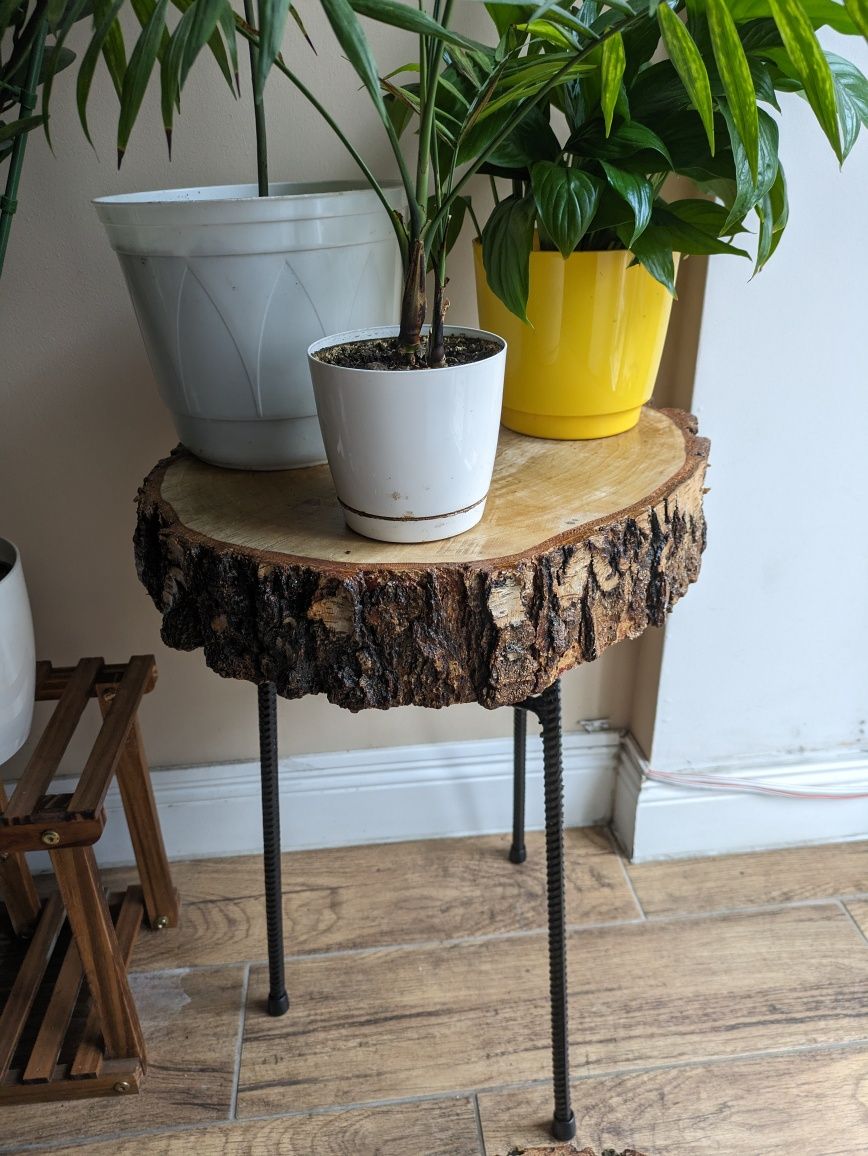 Plaster drzewna brzozowego do stolika - lakierowany