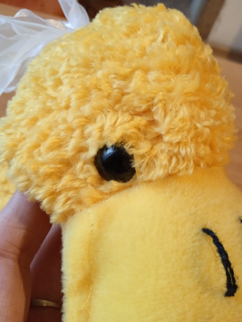 ESC-international toys,kolekcjonerska żółta kaczka