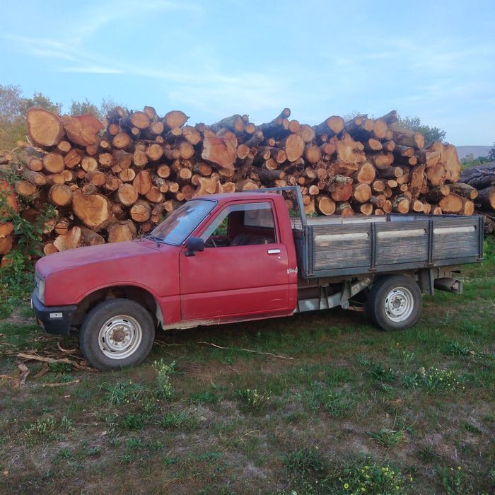 Lenha para aquecimento