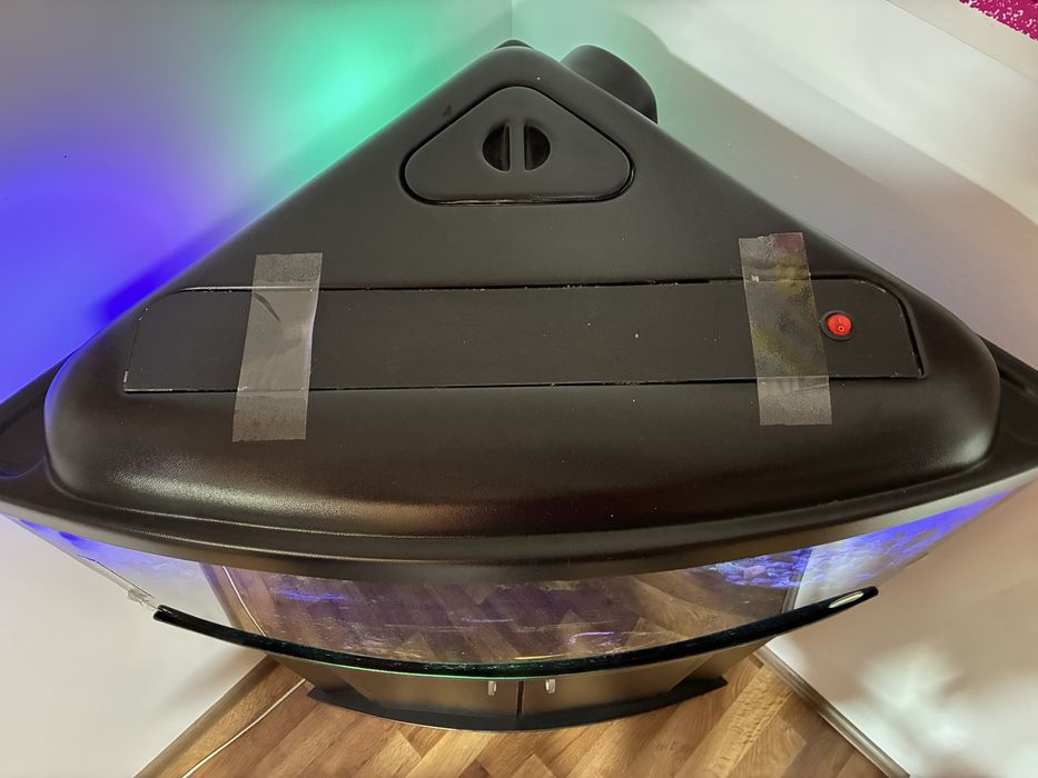 Функціонуючий акваріум