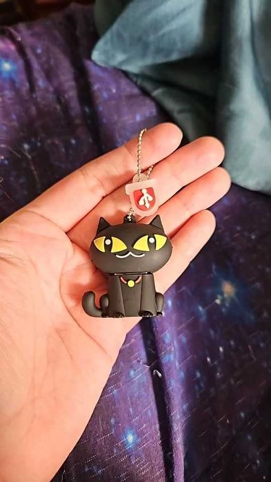 Флешка USB 128 ГБ "Мила чорна кішка"