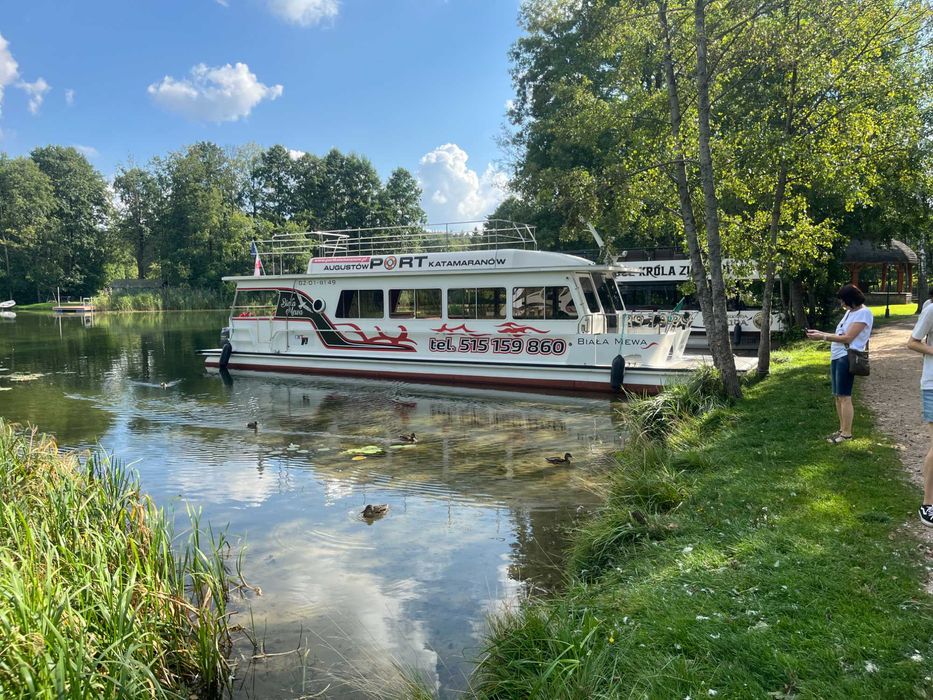 Katamaran silnikowy - Biała Mewa