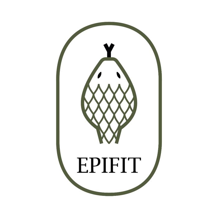 Skorpion Babycurus jacksoni + wyposażenie