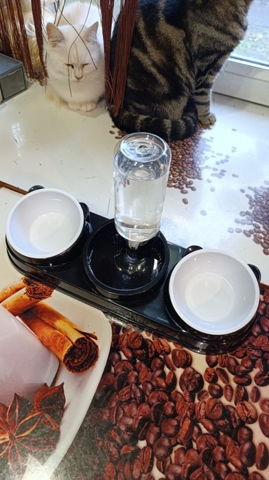 Миска + автоматическая поилка для котов