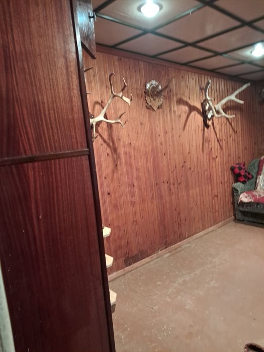 Будинок, нерухомість