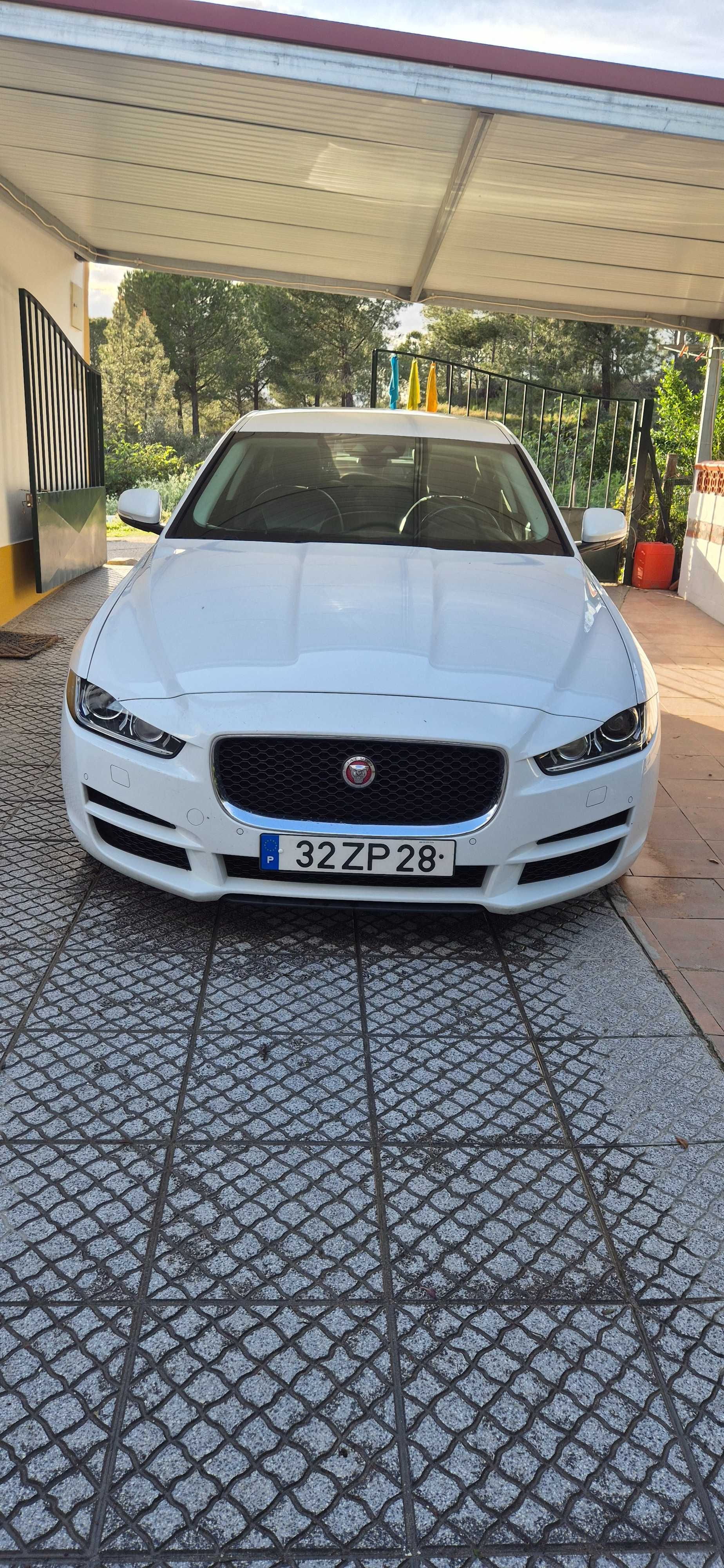 Jaguar XE Portfolio 2015