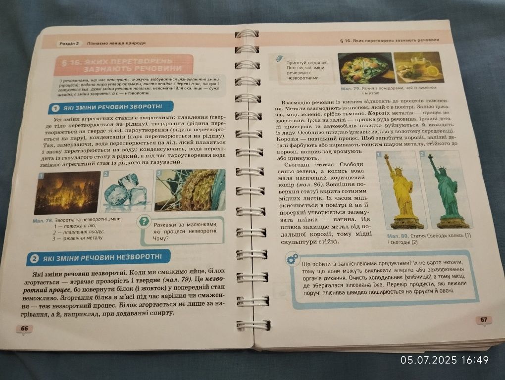 Підручник 6 клас Пізнаємо природу, Дарія Біда