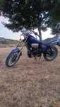 Aprilia red rose