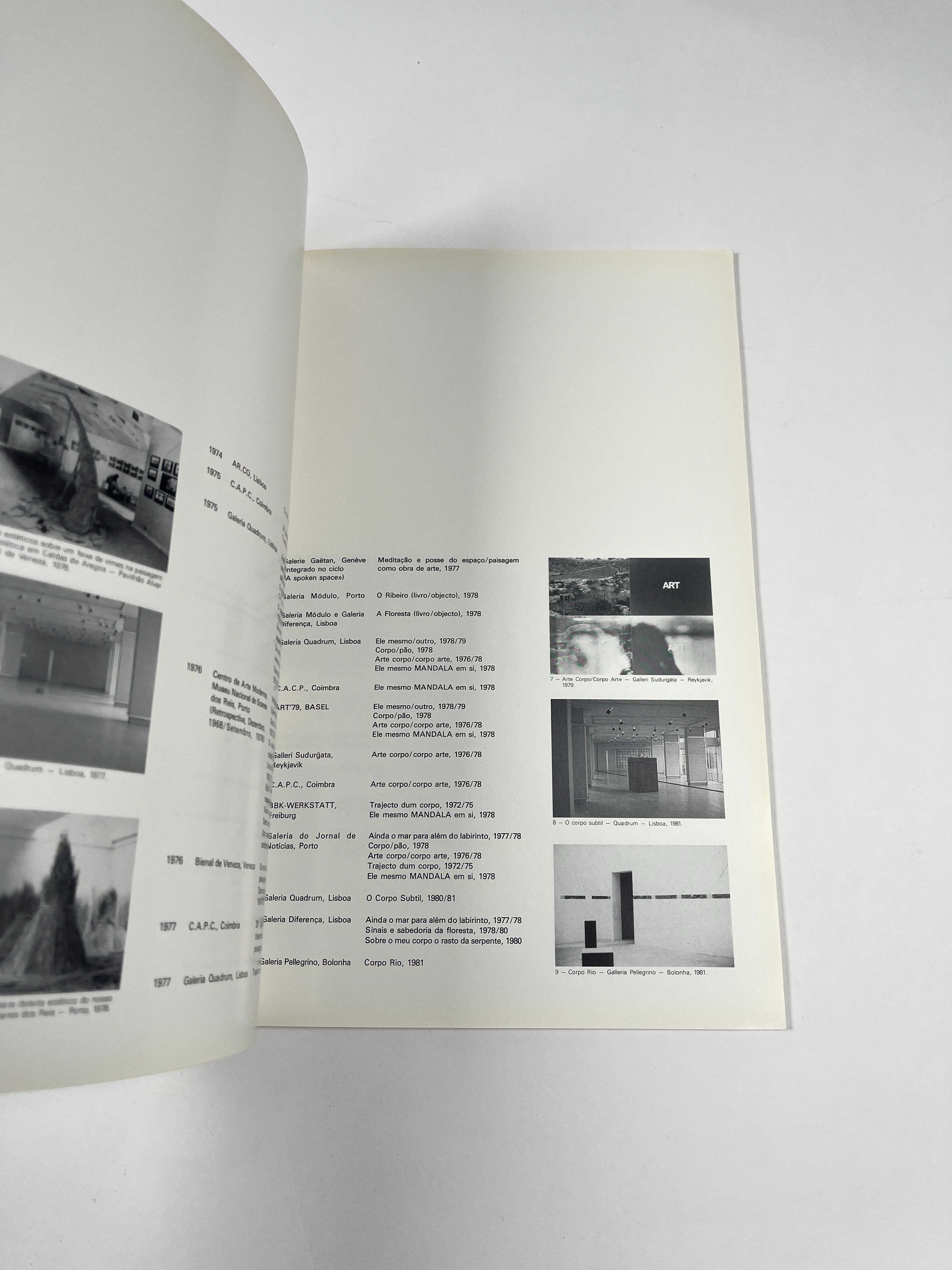 Alberto Carneiro Esculturas e Desenhos Galeria Nasoni 1989