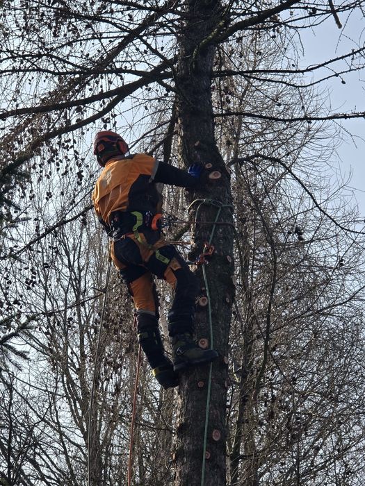 Alpinistyczna wycinka drzew, usługi rębakiem Drewex s.c.