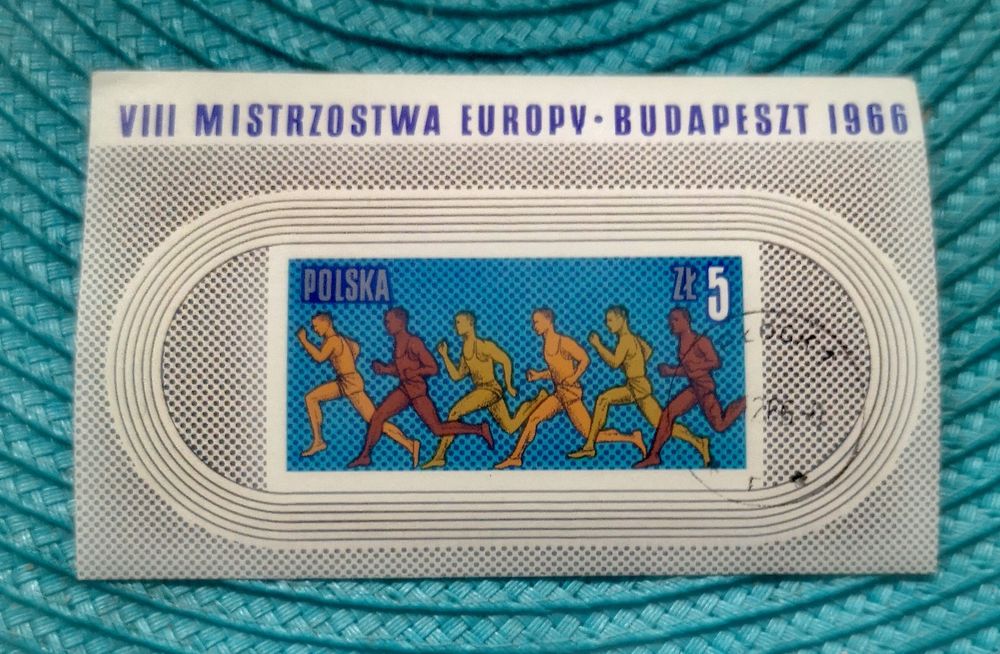 VIII Mistrzostwa Europy w Budapeszcie w 1966 roku.