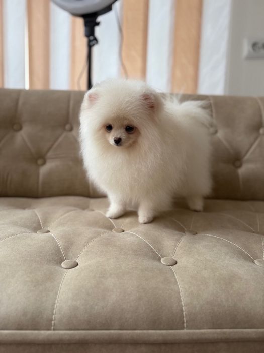 Красивий хлопчик КСУ