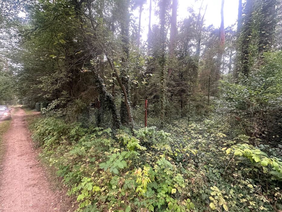 Sokolniki Las - działka leśna 1005m2