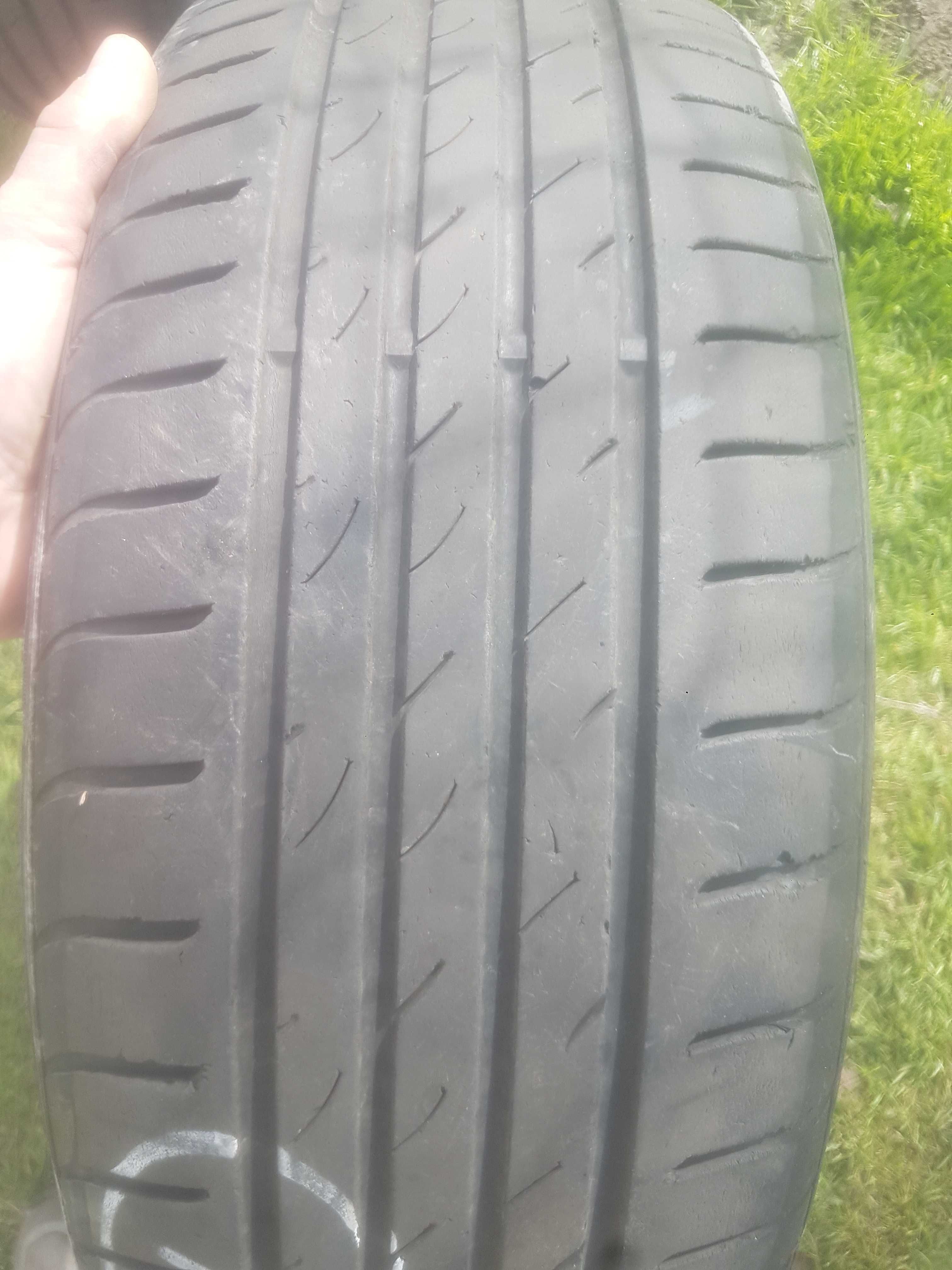 Opony  letnie nexen 205/55r17