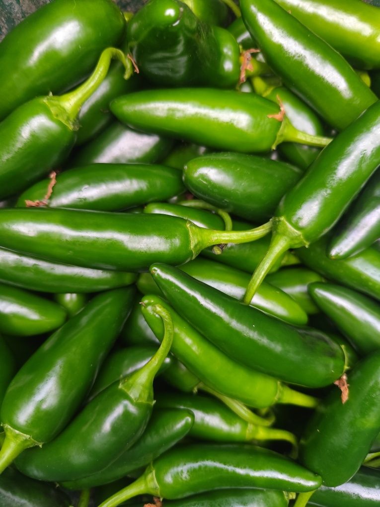 Papryczki Jalapeno Zielone