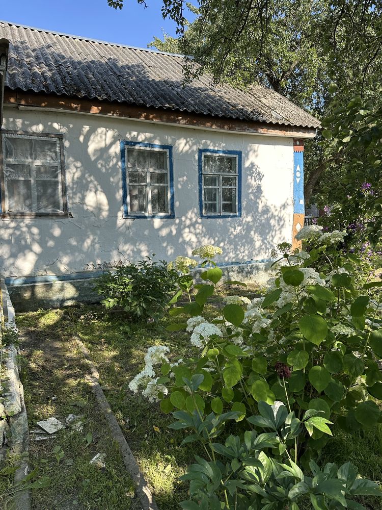 Будинок,дача,приватна садиба,с.Степанівка,Ємільчине.