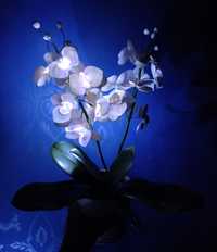 Орхідея-нічник з фоамірану