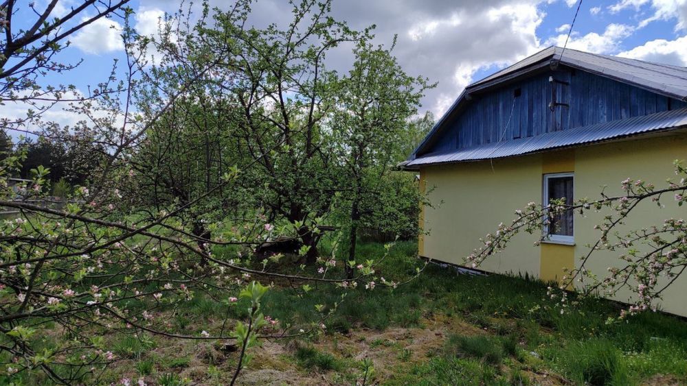 Будинок біля лісу земля 40сотих