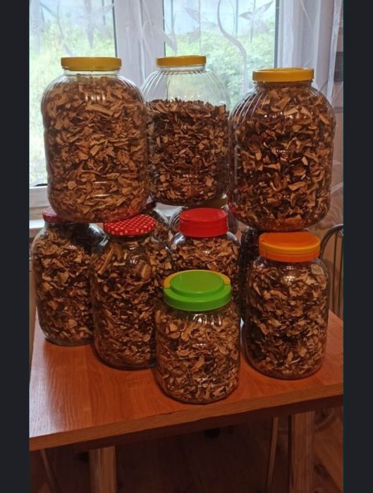 Suszone grzyby PRAWDZIWKI 18zł-10dag