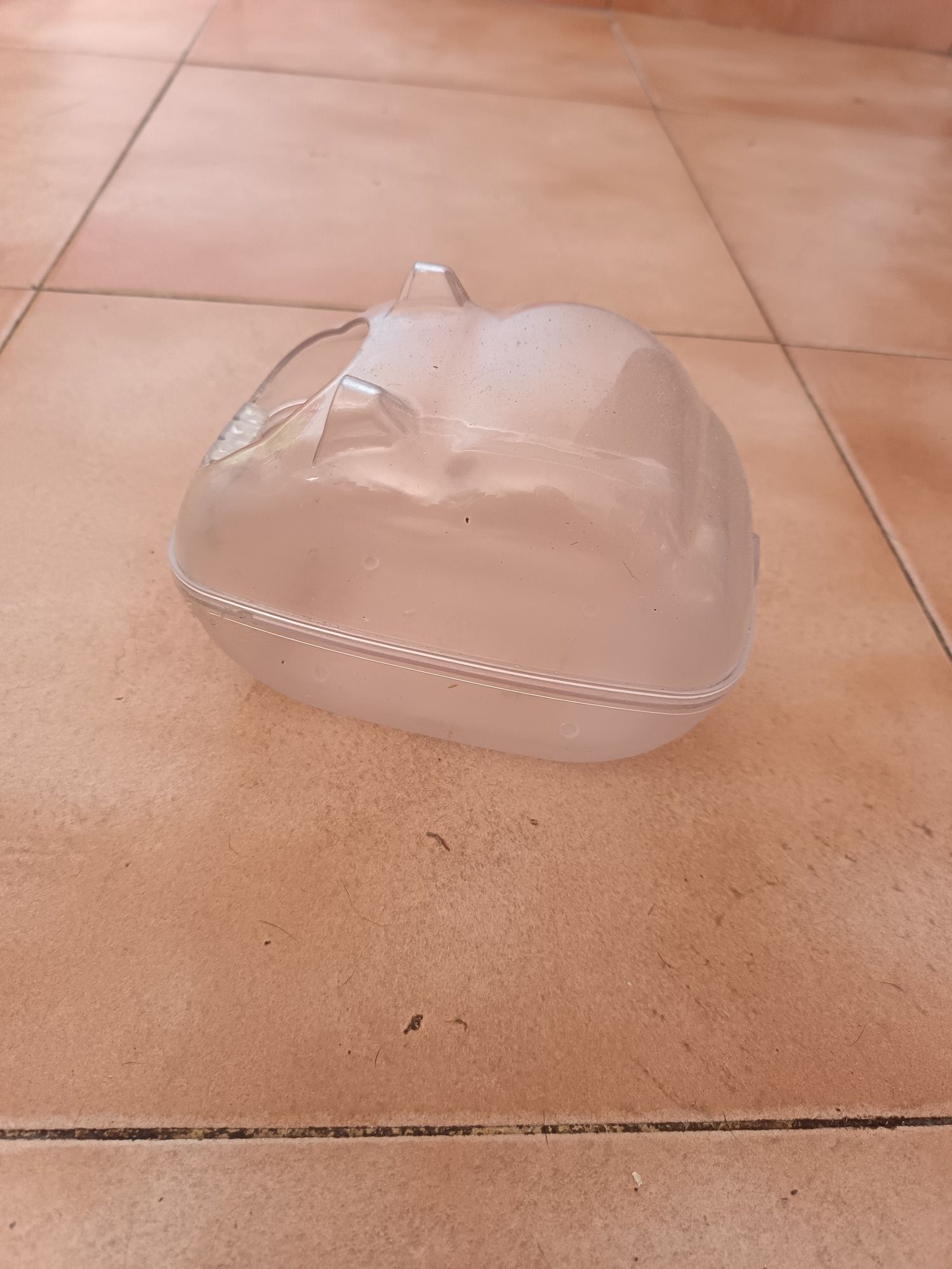 Banheirinho para hamster