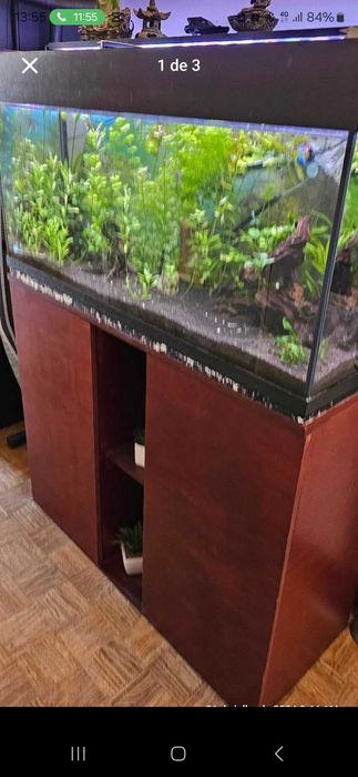 Vendo aquario 240l