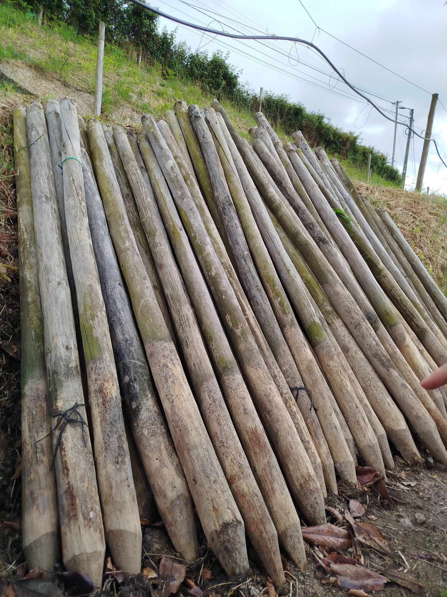 Postes de Madeira Tratada 2,5 metros