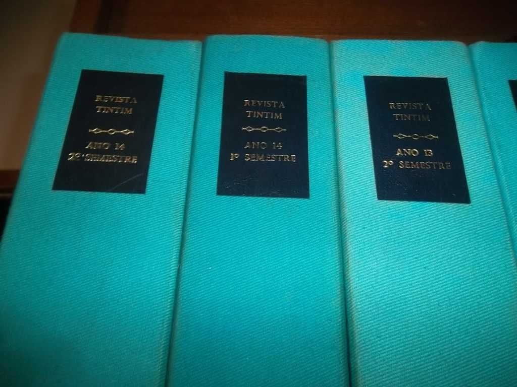 Volumes TINTIN. Encadernações não editoriais. Desde o 3º ano.