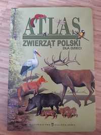 Atlas zwierząt polskich dla dzieci